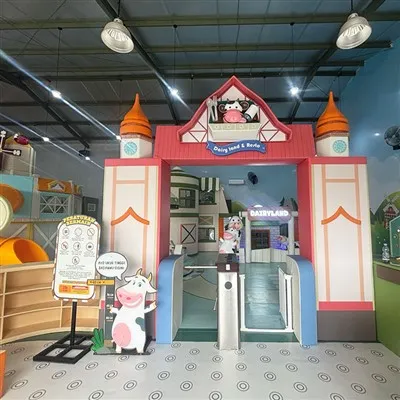 Custom Indoor Playground