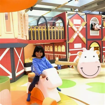 Custom Indoor Playground