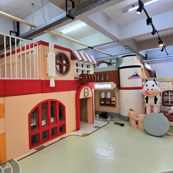 Custom Indoor Playground best