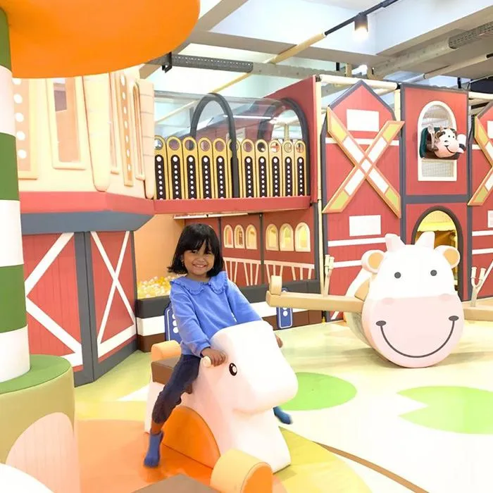 Custom Indoor Playground price