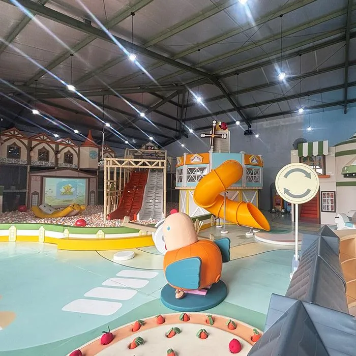 Custom Indoor Playground suppliers